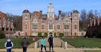 How to Stop Moths? Blickling Hall Tries Bringing in Wasps