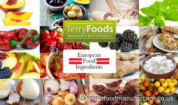 Terry Foods acquires European Food Ingredients - FoodManufacture.co.uk