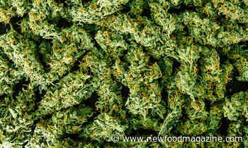 Cannabidiol: a legal food ingredient for 2021? - New Food