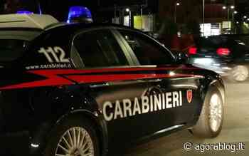 Attività antidroga dei Carabinieri: arrestato un pusher a Putignano - AgoraBlog