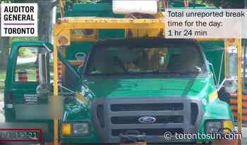 Work needed to shape up lazy Toronto forestry crews: Auditor general - Toronto Sun