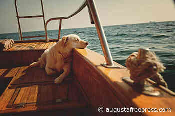 The coolest gadgets you need to have on your yacht - Augusta Free Press