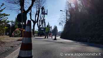 Cantieri a Como: oggi le potature in via Per San Fermo, da domani lavori in via Sant'Elia - Espansione TV