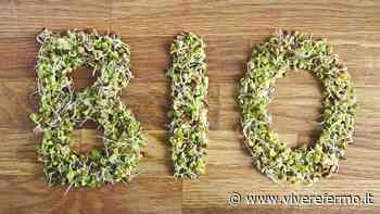 Coldiretti Ascoli Fermo, il presidente Marconi: "Distretto biologico unico, faremo la nostra parte" - Vivere Fermo