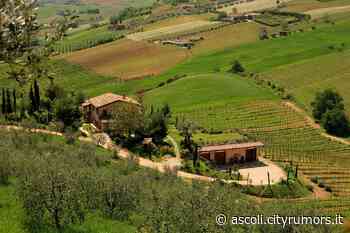 Distretto Biologico, Marconi (Coldiretti Ascoli-Fermo):"Noi ci siamo e faremo la nostra parte" - - Cityrumors Ascoli