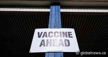 Here’s why some coronavirus vaccine suppliers say they aren’t selling to provinces - Global News