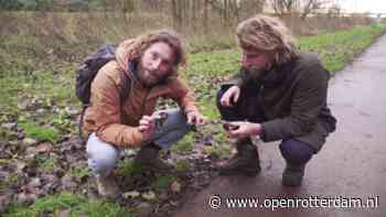 Gebroeders Groen gaan op zoek naar de mol in de stad - OPEN Rotterdam
