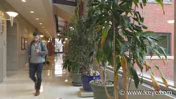 Bethany Lutheran College adds first Master of Arts program - KEYC