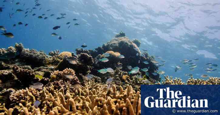 Great Barrier Reef found to be in failing health as world heritage review looms