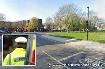 Tottenham Hale murder probe launched after stabbed man dies