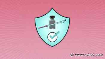 How do we know the COVID-19 vaccines are safe?
