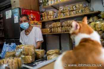 UK experts pinpoint animals most likely to cause next coronavirus outbreak
