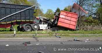 Family of crash victim urge drivers to stop using phones behind the wheel