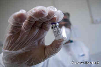 Vaccino Covid agli over 85. A Piacenza 3.800 prenotazioni, a Modena oltre 11mila - Libertà