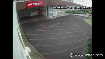 WATCH: Wallaby runs free through Austrailian hospital