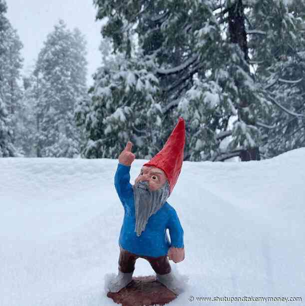 Zombie Gnomes: All the F’s We Give