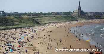 'There has never been a Covid-19 outbreak linked to a crowded beach', MPs hear