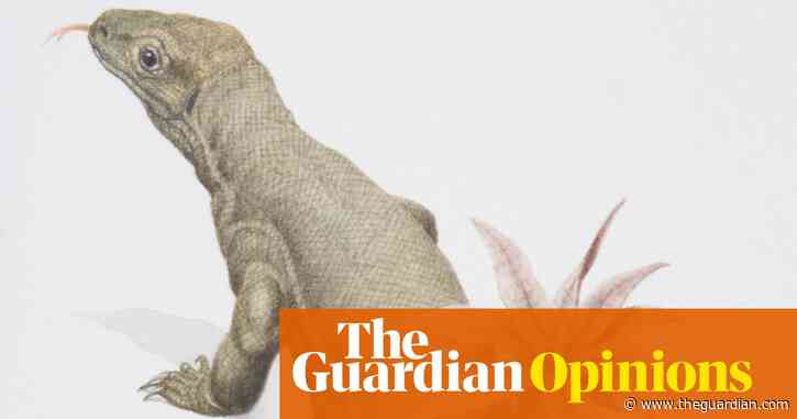Komodo dragons: 'the biggest, worst lizard of the modern day' | Helen Sullivan