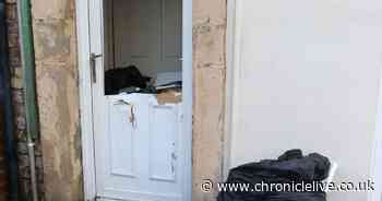 Cannabis plants seized after police raid Heaton home