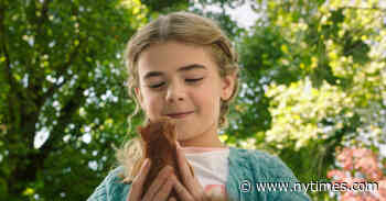 ‘Flora & Ulysses’ Review: A Hero Tale That Lets the Fur Fly