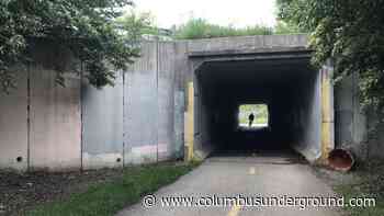 Large Mural Project Planned for Harrison West Tunnel
