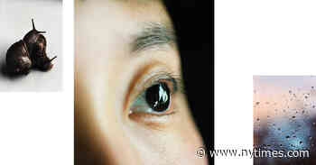 How We Respond to Art