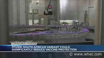 Pfizer: South African COVID strain could affect vaccine protection