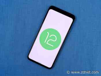 Android 12: First developer beta, release schedule, features, and more