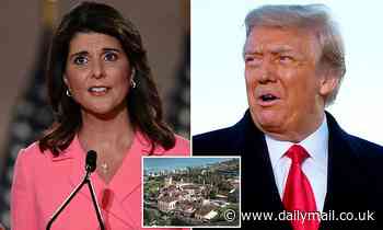 Donald Trump snubbed Nikki Haley's request for Mar-a-Lago meeting