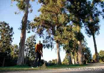 Fitzpatrick Takes Early Lead as Riviera Proves Tough Test