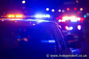 Mother of five killed after kids found her gun in her purse