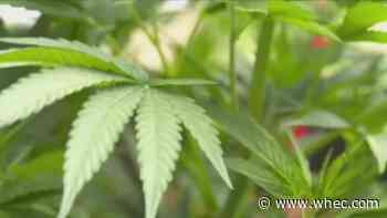 Rochester-area state senator to co-chair Marijuana Task Force