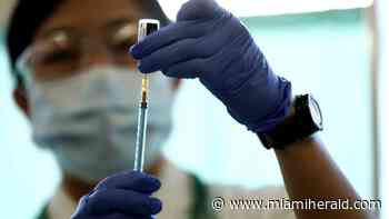 Are COVID vaccines the reason coronavirus cases are dropping? Here’s what we know - Miami Herald