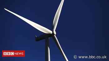 Texas weather: Are frozen wind turbines to blame for power cuts?