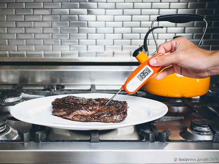 The 5 best meat thermometers we tested in 2021