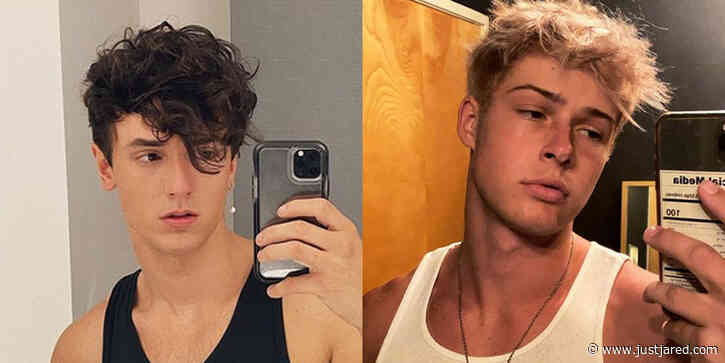 TikTok Stars Bryce Hall & Blake Gray Plead Not Guilty to Pandemic Partying Charges