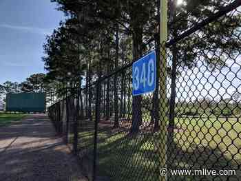 New Tigers coaching staff did plenty of homework before spring training - MLive.com