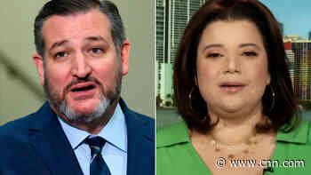 'Downright stupid:' CNN analyst rips Ted Cruz's Cancun trip