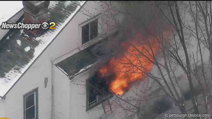 Dog Dies In Munhall House Fire