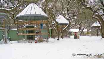 Animals are freezing to death amid Texas winter crisis