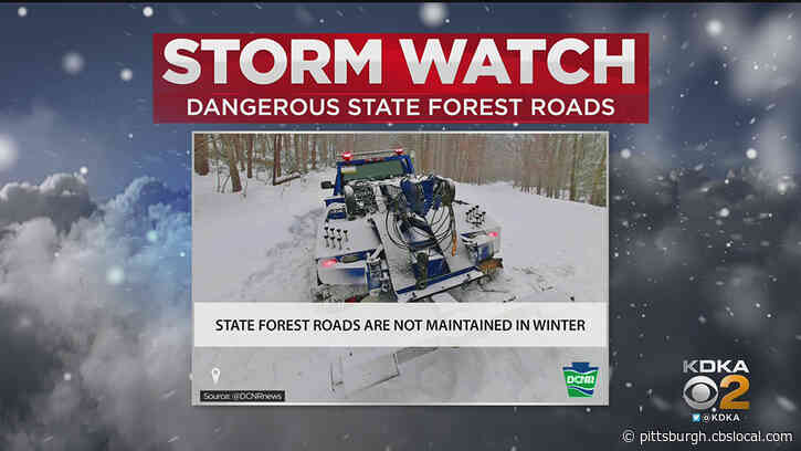 DCNR Reminds Drivers Of Risks Of Driving On State Forest Roads