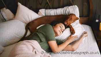 Should you let your dog or cat sleep in bed with you?