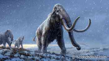 World’s Oldest DNA – 1.2 Million Years Old – Reveals How Mammoths Evolved