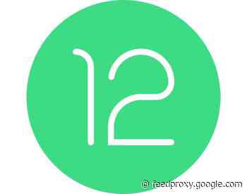 Google releases Android 12 Developer Preview