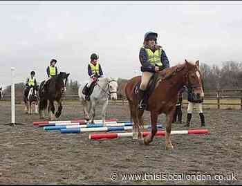 Future of Park Lane Stables saved