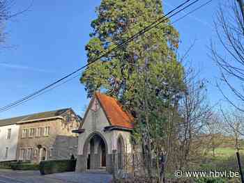 Queeste om kapel in Gors-Opleeuw te redden, leidt zelfs tot in Chili - Het Belang van Limburg