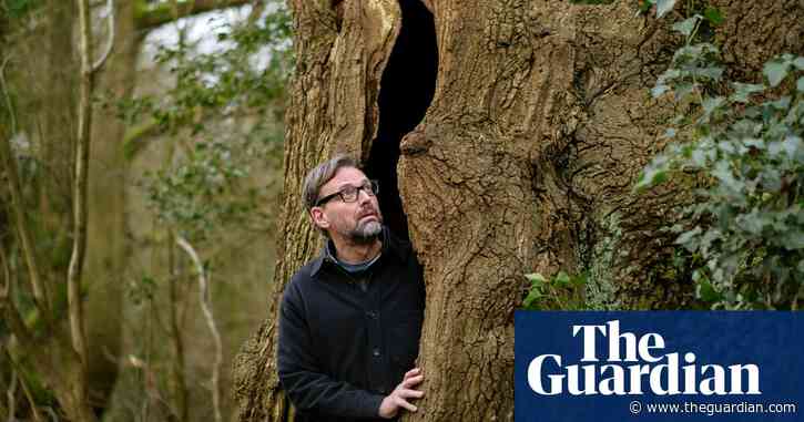 'A world of sound opens up': how 10 minutes in nature reaps rewards