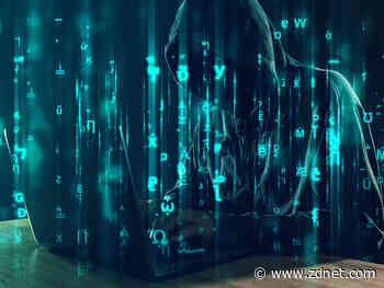 Malaysia arrests 11 suspects for hacking government sites