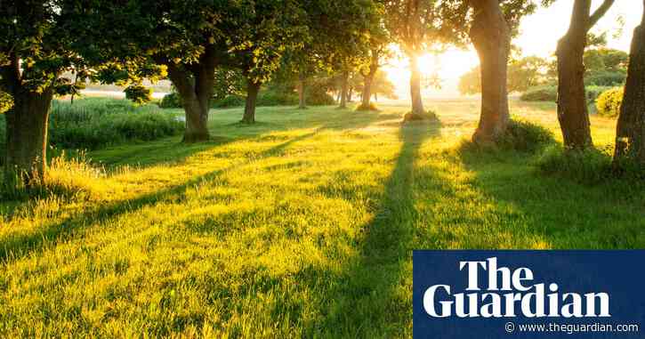 Rebuild the spire but spare the trees | Brief letters