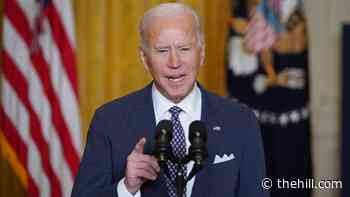 Biden warns European allies that 'democratic progress is under assault'